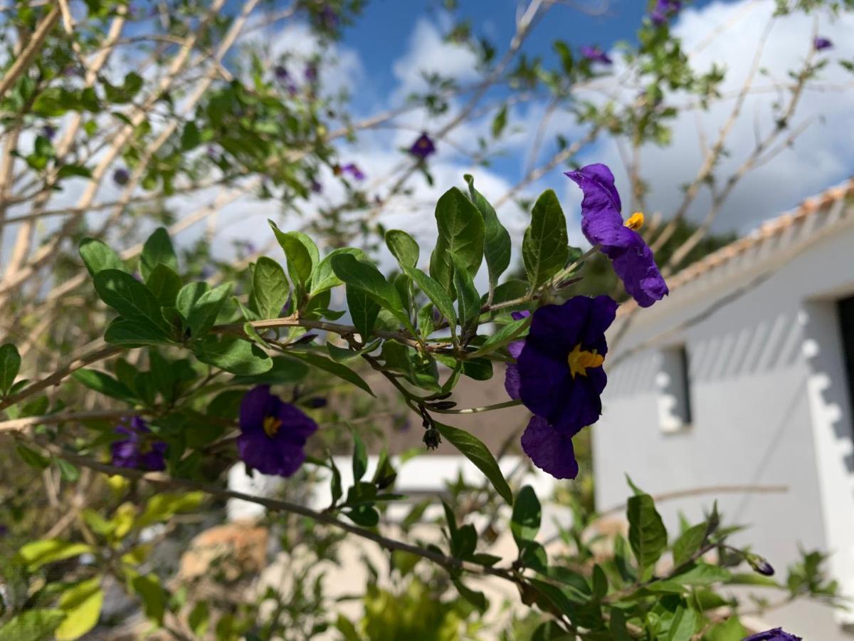 Finca Bona Nit Jávea Eksteriør bilde